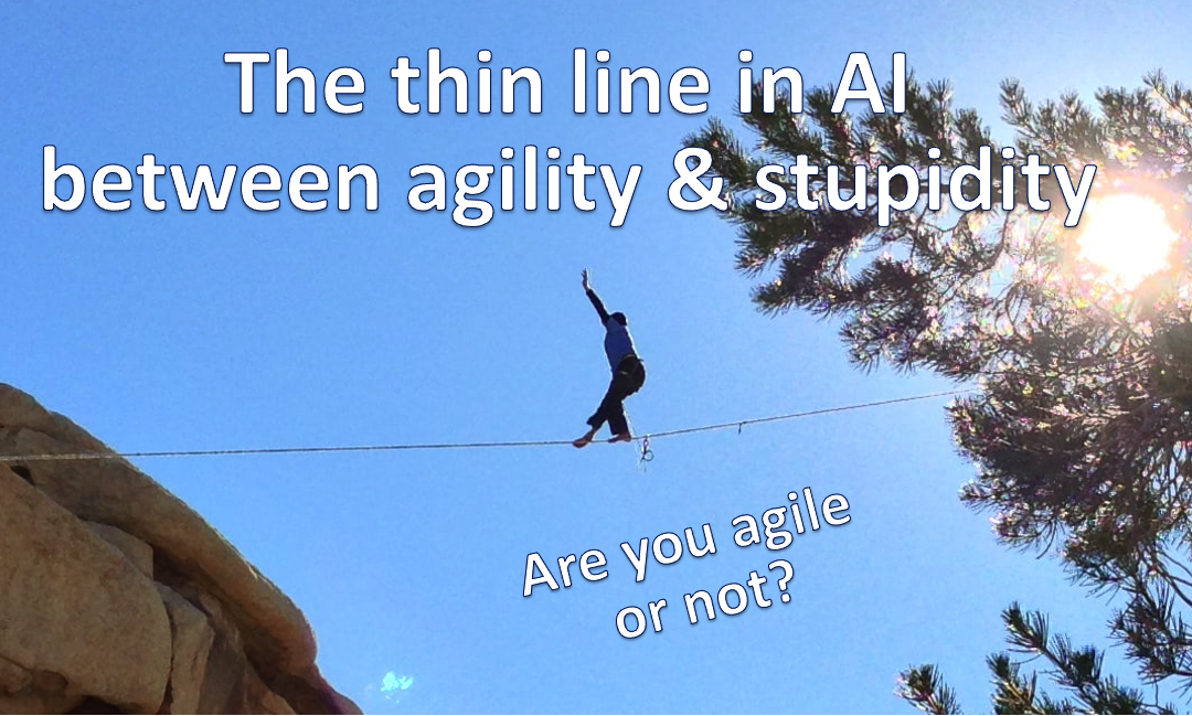 The thin line between agility & stupidity in AI
